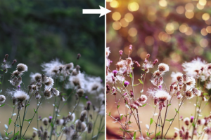 ретушь фото