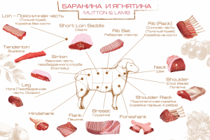 Создание плаката по разделке туши