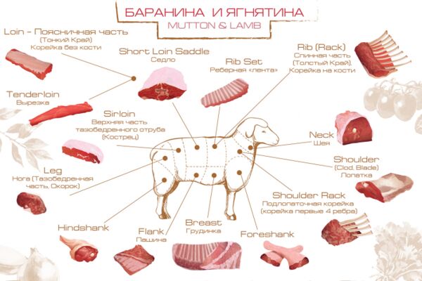 img3549687.png