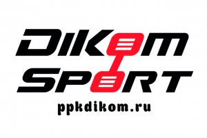 Создание дополнительного логотипа для линейки спорт.оборудования