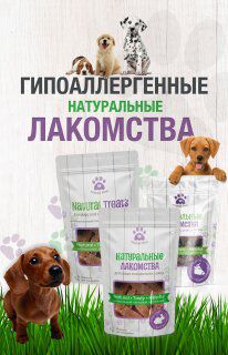 img4409638.png