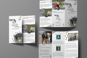 Верстка буклета для волонтерского движения