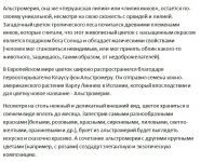 img2471159.png