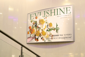 Баннер для "EVLISHINE"