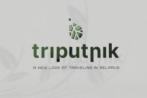 Работа 4389475