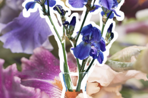 Работа 4083332