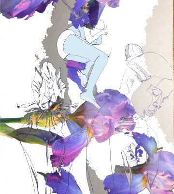 img4083329.png