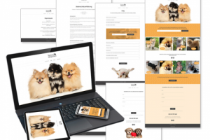 Работа 3958323