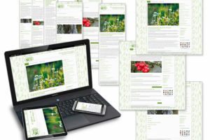 Работа 3694280