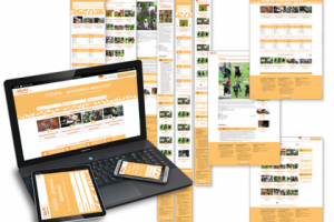 Работа 3694279