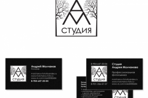 Работа 3694259