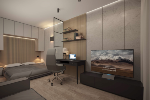 Интерьер гостиной-спальни