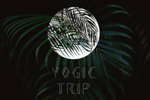 Yogic Trip 2