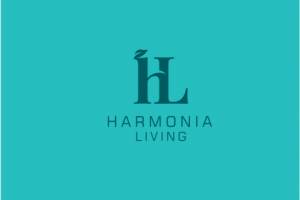 Logotype design, Профессиональная разработка Логотипов