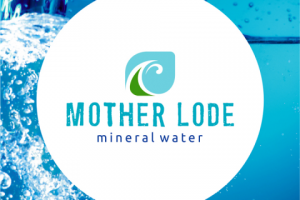 Logotype design, Профессиональная разработка Логотипов