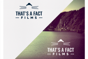 Logotype design, Профессиональная разработка Логотипов