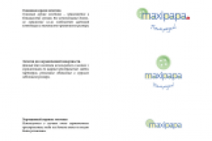 Логотип и фирменный стиль интернет–магазина "Maxipapa.ru"