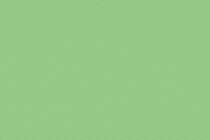 Логотип и фирменный стиль интернет–магазина "Maxipapa.ru"