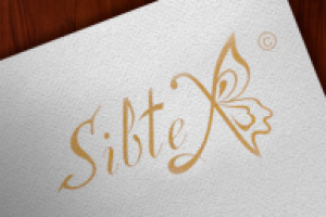 Разработка логотипа