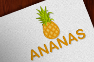 Разработка логотипа