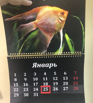 img3451051.png