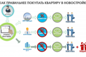Инфографика