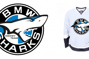 Работа 1600780