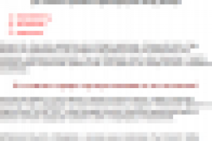 Текст на главную