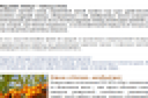 Живица кедра - продолжает удивлять ученых