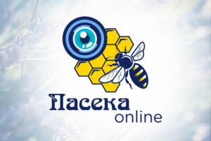 Логотип Пасека онлайн