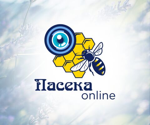 img3701624.png