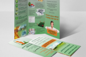 Работа 2666371