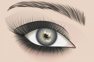 Работа 2645953