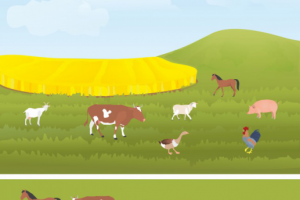 Работа 2645951