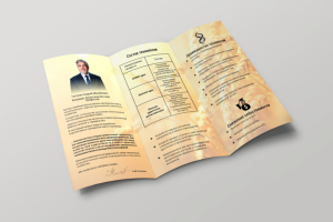 Работа 3632967