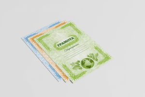 Работа 3423906