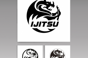 Литые диски  IJITSU