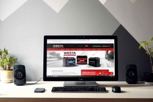 Баннер на сайт для компании Westa. Ростов-на-Дону