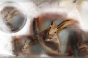 Работа 1198318