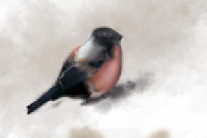 Работа 1184334