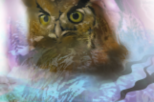 Работа 1184335