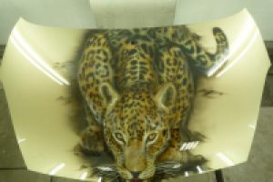 Работа 1184351