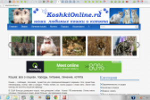 Создание сайта на движке WordPress. Опыт работы 3 года