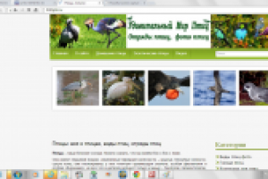 Не получается сделать WordPress блог самим?Я вам помогу!Недорого