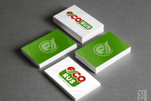 Логотип ECORUS