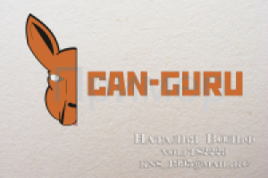 Логотип CAN-Guru