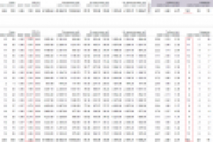 Франшиза 1с, расширенная версия