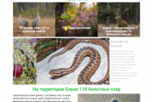 Landing page для экотропы, заповедник "Ельня"