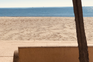 Солнечный день на побережье