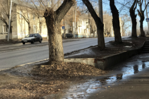 Весна в городе